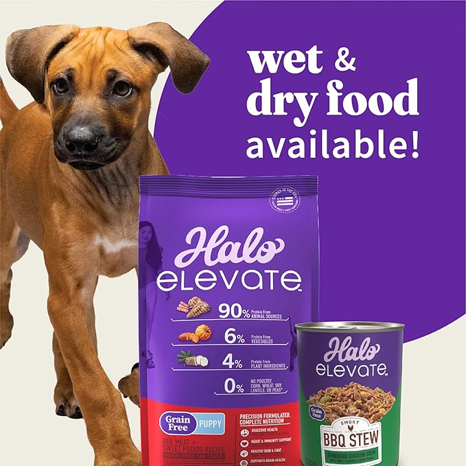 Halo Elevate Wet Dog Food, Grain Free, Smoky BBQ Shredded Chicken Stew with Sweet Potatoes & Green Beans, 12.7oz (Pack of 6)