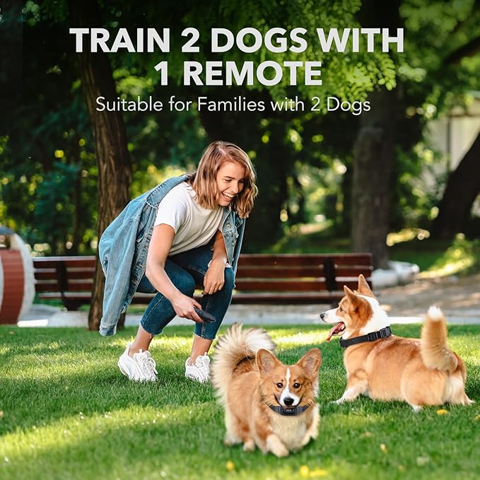 DOG CARE Dog Training Collar with Remote - Rechargeable Dog Shock Collar for All Dogs with Beep, Vibration, and Adjustable Shock Level, Dog Training Collars for 2 Dogs, Security Lock, Water-Resistant