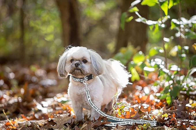 Pets First Collegiate Pet Accessories, Dog Leash, Michigan State Spartans, Large