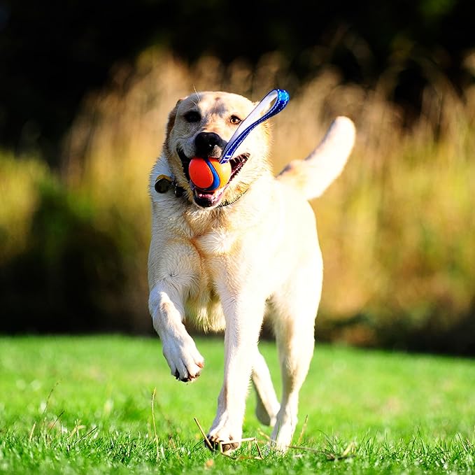 Chuckit! Ultra Tug Dog Toy (Medium) and Ultra Fetch Stick Dog Toy