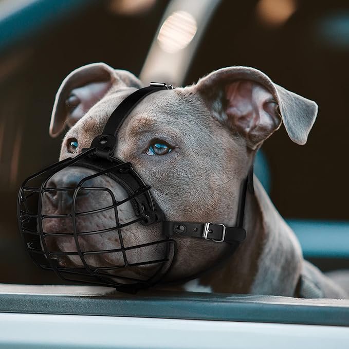 Pitbull Dog Muzzle Metal Mask Amstaff Secure Wire Basket Adjustable Durable Leather Straps for Large Dogs (Red)