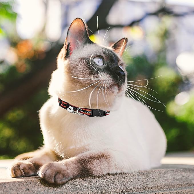 NFL CAT Collar Arizona Cardinals Satin Cat Collar Football Team Collar for Dogs & Cats. A Shiny & Colorful Cat Collar with Ringing Bell Pendant