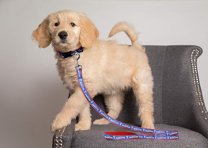MLB PET Leash, Small, Texas Rangers Dog Leash, Baseball Team Leash for Dogs & Cats. A Shiny & Colorful Dog & Cat Leash with Emboridered Team Name/Logo Licensed by the MLB