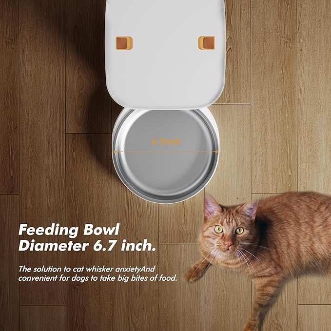 Automatic Dog Feeder - 8L/34 Cups Large Capacity Automatic Cat Food Dispenser with Display LCD Screen,Large Food Tray,Battery Operated,Timed Cat Feeder,Up to 50 Portions 6 Meals Per Day,Keeps Fresh