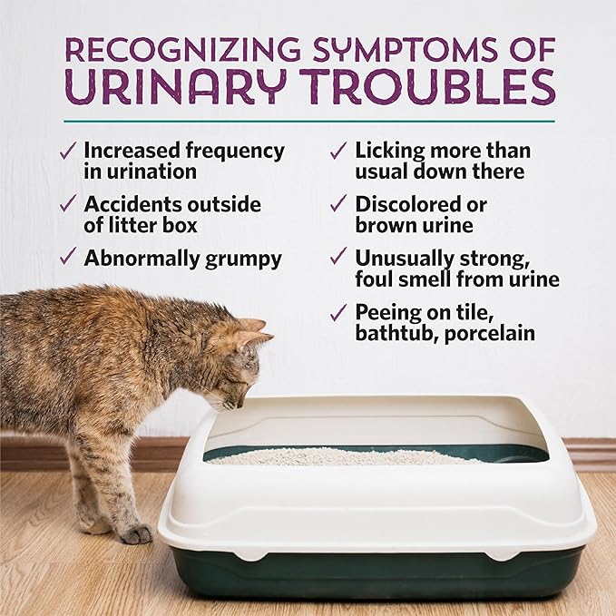Kitty P. Freely Cat Urinary Supplement, Cranberry for Cats, Cat UTI & Cat Kidney Support Powder Probiotics for Cats, Made in USA (30 Days)