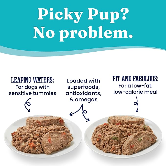 Solid Gold Wet Dog Food Variety Pack for Picky Eaters - Fit & Fabulous Chicken + Leaping Waters Chicken & Salmon Grain Free Canned Dog Food - Made with Real Protein for Sensitive Stomachs - 6 Pack