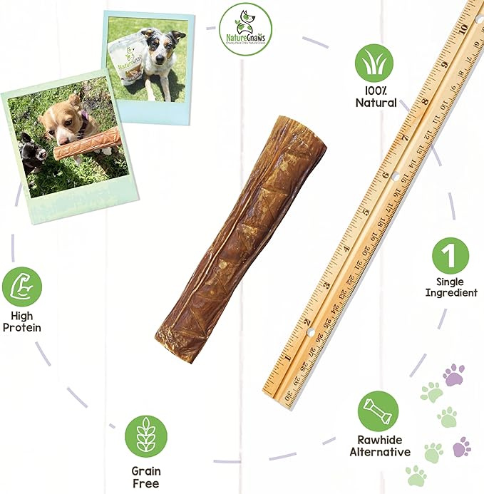 Nature Gnaws Beef Jerky Stuffed Rolls for Dogs - Single Ingredient Beef Gullet Chew Treats - Simple Natural Delicious Dog Chews - Training Reward - 5 Inch - 6 Count