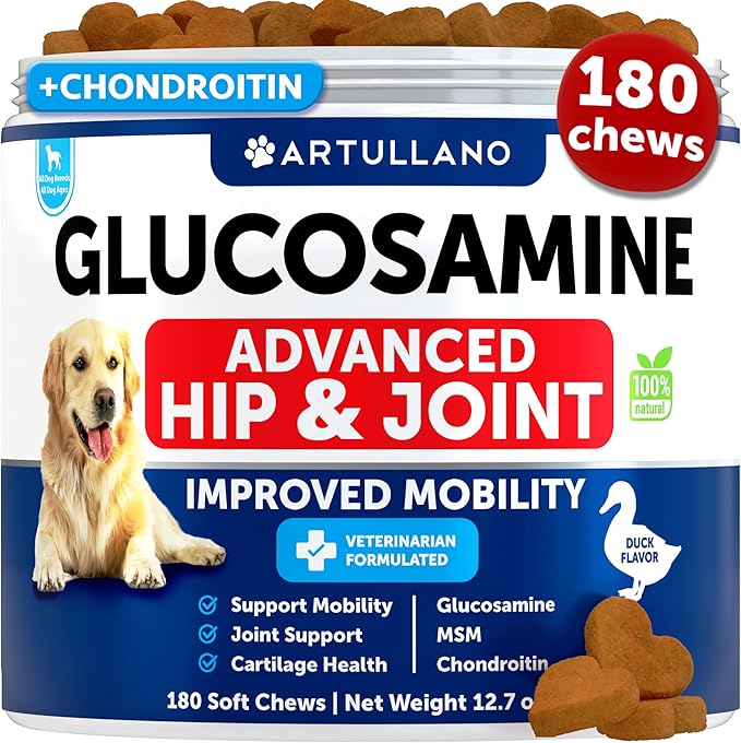 Glucosamine for Dogs - Hip and Joint Supplement for Dogs - 180 Chews - Glucosamine Chondroitin For Dogs, Turmeric, MSM - Dog Glucosamine Support - Dog Joint Pain Relief Health - Mobility Treats