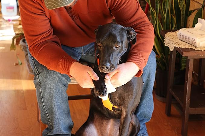 Best Pet Supplies Dog Wipes, Hypoallergenic, Deodorizing, Cleaning for Dogs' Paws, Butt, Face, Grooming, Non-Sticky Formula for Puppy, Cats and Sensitive Skin - 400 Pack, Rejuvenating Rose Hip