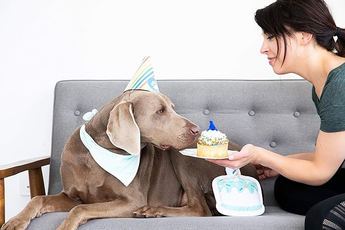 Pearhead Pet Birthday Pawty Kit, Pet Birthday Party, Includes Dog Toy, Party Hat, and Bandana, Multi One Size