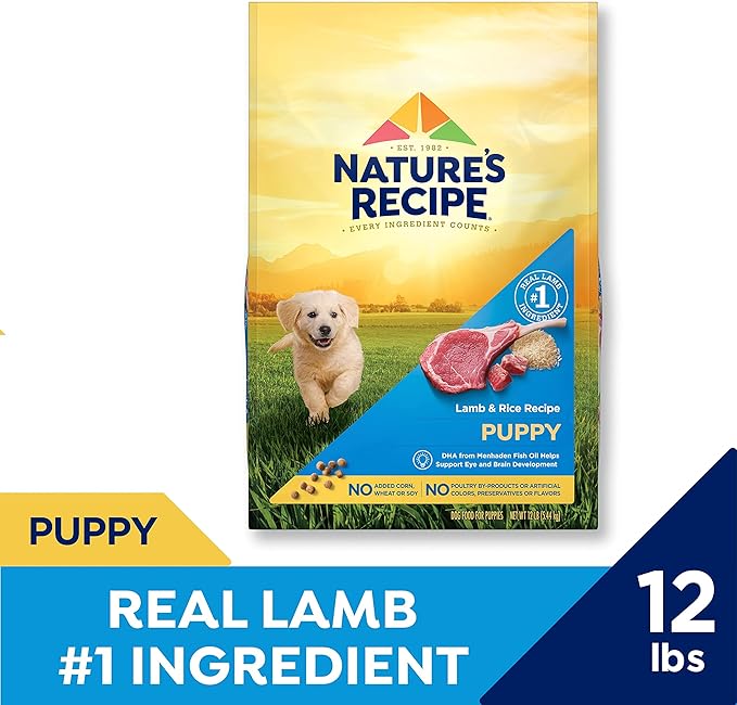 Nature’s Recipe Puppy Lamb & Rice Recipe Dry Dog Food, 12 lb. Bag