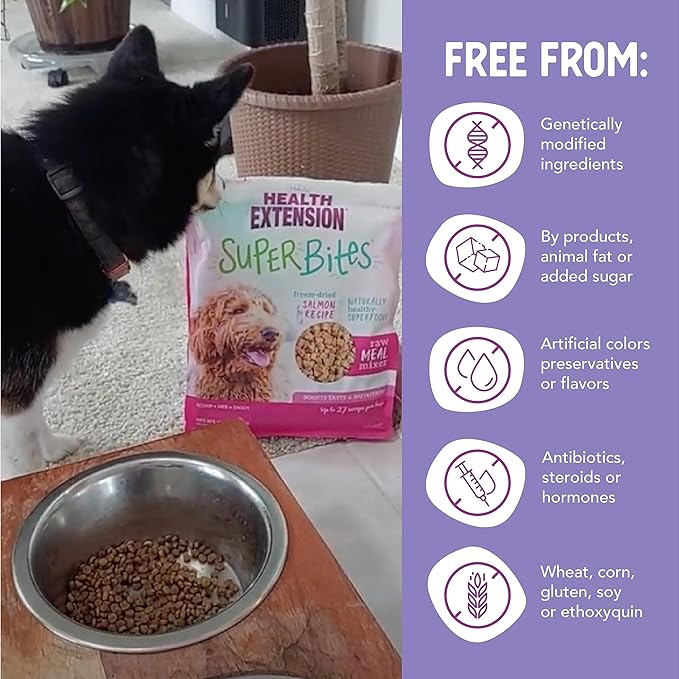 Health Extension Super Bites, Freeze-dried Raw, Gluten & Grain-free, with Extra Protein & Super Tasty Healthy Meal Mixer for Dogs, Salmon Recipe (3.5 Oz / 99 g)