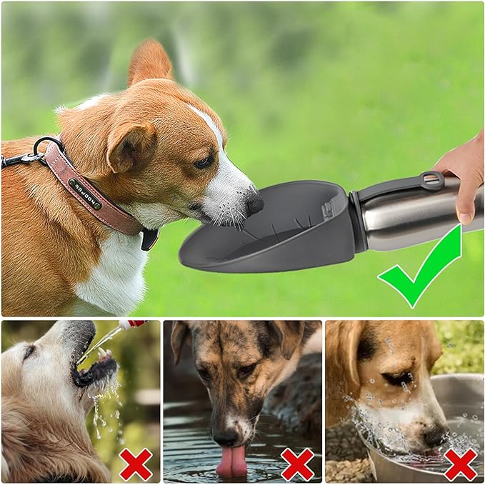 URPOWER 27 Oz Large Dog Water Bottle, Double Wall Insulated Stainless Steel Dog Travel Water Bottle Leak Proof Portable Pet Water Dispenser BPA-Free Drinking Bowl for Dog Outdoor Walking, Hiking