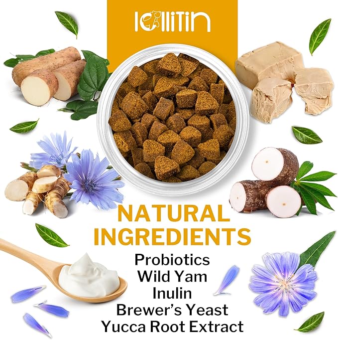 Probiotics for Dogs - Support Gut & Digestive Health, Immune Support - All Nautral Prebiotics, Fiber, Enzymes for Gut Flora - Diarrhea & Bowel Support - Bacon Flavor, 120 Chews, by Lollitin