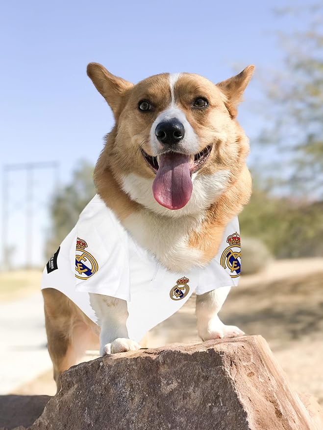 Real Madrid Jersey for DOGS & CATS Football Fan Jerseys, Bright Team colors, SIZE: Large