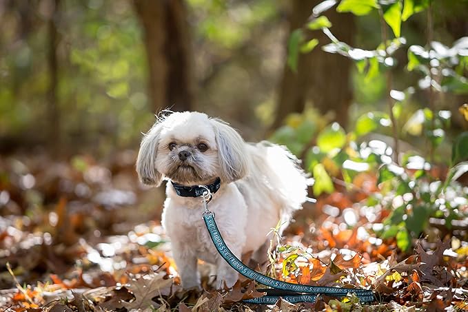 MLB PET Leash, Small, Seattle Mariners Dog Leash, Baseball Team Leash for Dogs & Cats. A Shiny & Colorful Dog & Cat Leash with Emboridered Team Name/Logo Licensed by the MLB