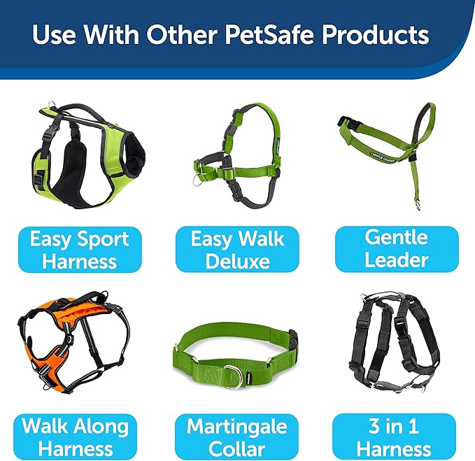 PetSafe Nylon Dog Leash - Strong, Durable, Traditional Style Leash with Easy to Use Bolt Snap - 3/4 in. x 6 ft., Apple Green