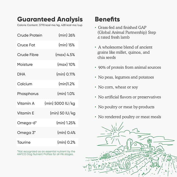 Open Farm Ancient Grains Dry Dog Food, Humanely Raised Meat Recipe with Wholesome Grains and No Artificial Flavors or Preservatives (Pasture Raised Lamb Ancient Grain, 11 Pound (Pack of 1))