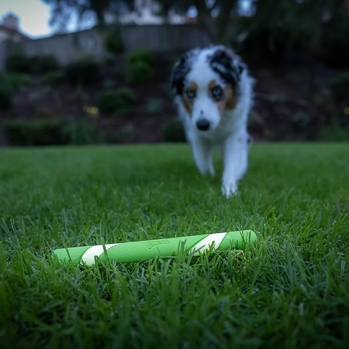 Chuckit! Max Glow Ultra Fetch Stick Outdoor Dog Toy, 12 Inches, for All Breed Sizes