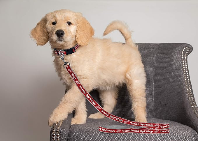 Pets First NHL Detroit RED Wings Leash for Dogs & Cats, Medium. - Walk Cute & Stylish! The Ultimate Hockey Fan Leash!, Medium (4 ft Long x 0.62 in Width) (DRW-3031-MD)