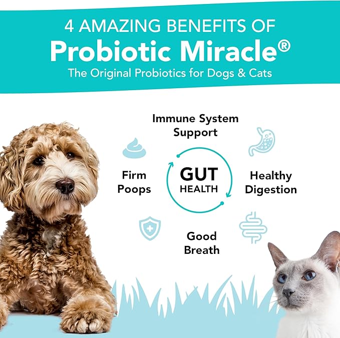 Probiotics for Dogs -(360 Scoops)-Probiotic Miracle -Advanced, Species Specific Probiotics and Prebiotics to Stop Diarrhea, Loose Stool, and Yeast-Plus Immune Support