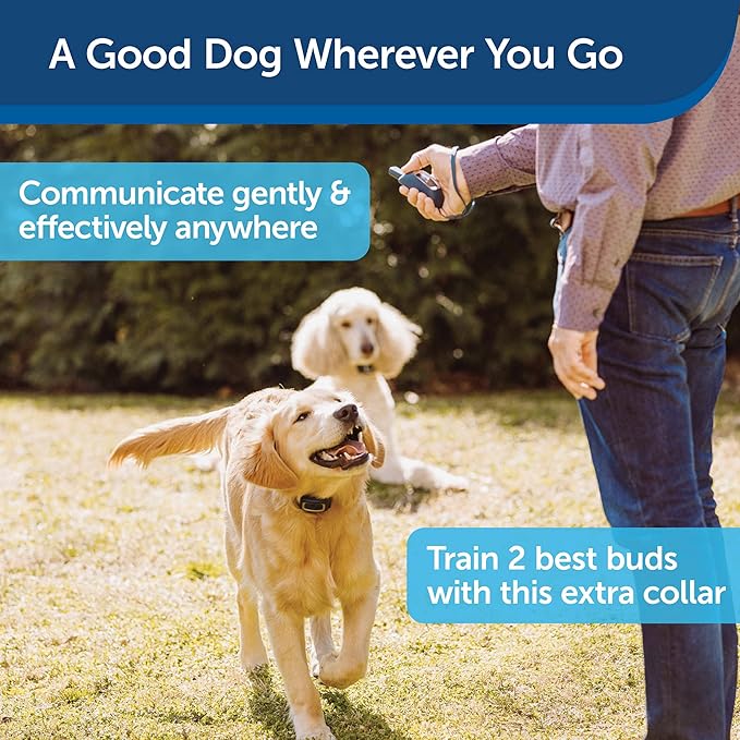 PetSafe Remote Spray Trainer, Add-A-Dog Training Collar - 3 Modes: Tone, Vibration or Spray -Rechargeable and Water-Resistant – Includes Citronella and Unscented Spray Refills & USB Charging Cable