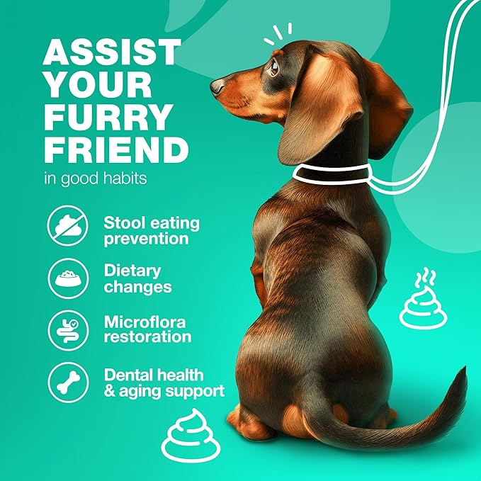 Probiotics for Dogs - Coprophagia Deterrent for Dogs - Deterrent for Dogs Eating Poop - Dog Probiotics Treats - Probiotic Chews for Dogs - Dog Probiotic & Digestive Enzymes - Gut Health, Itchy Skin