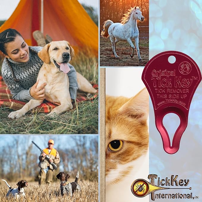 The Original Tick Key -Tick Detaching Device - Portable, Safe and Highly Effective Tick Detaching Tool (Rainbow 7 Pack)