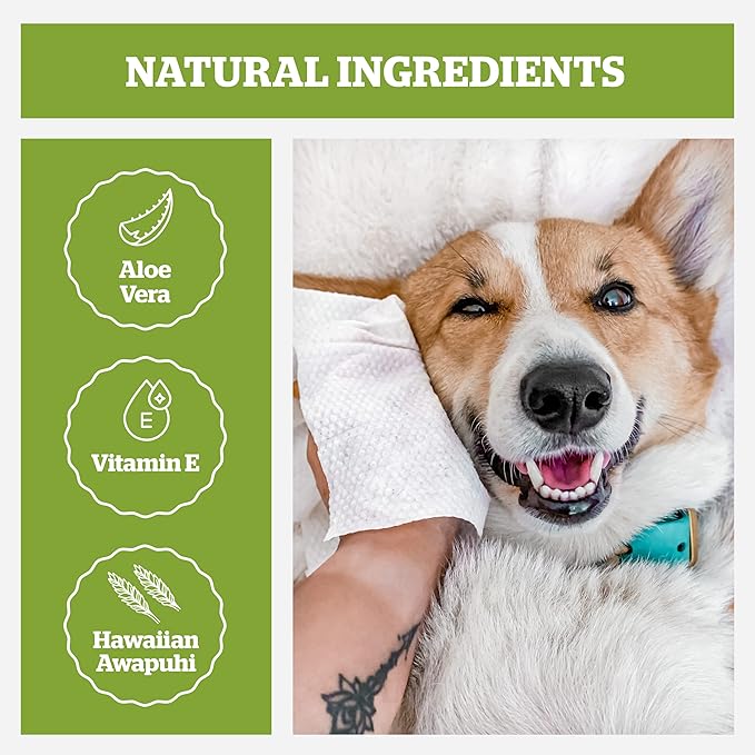 Pogi's Dog Grooming Wipes - 400 Dog Wipes for Cleaning and Deodorizing - Plant-Based, Hypoallergenic Pet Wipes for Dogs, Puppy Wipes - Quick Bath Dog Wipes for Paws, Butt, & Body - Green Tea Scented