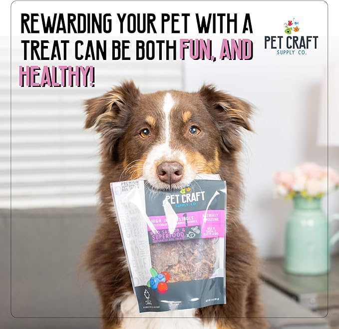 Pet Craft Supply Wild Caught Pure Dehydrated Pacific Salmon Blueberry Cranberry Superfood Healthy High in Antioxidants Vitamins Fish Oil for Small Medium Large Dog Puppy Training Treats