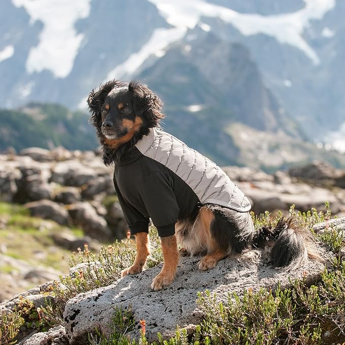 Furhaven Water-Repellent Small Dog Coat, Washable & Reflective w/ Leash Access & Stretch Fabric - Pro-Fit Active Jacket - Chrome, Small