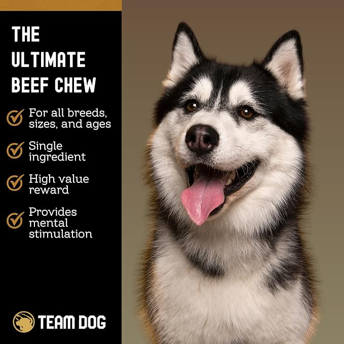 Beef Trachea Dog Chews | Single Ingredient Dog Treat | 100% Freeze Dried Beef Gullet Sticks for Dogs | Supports Healthy Teeth & Gums | All Natural Esophagus Dog Treats Made in USA | 3 Per Bag