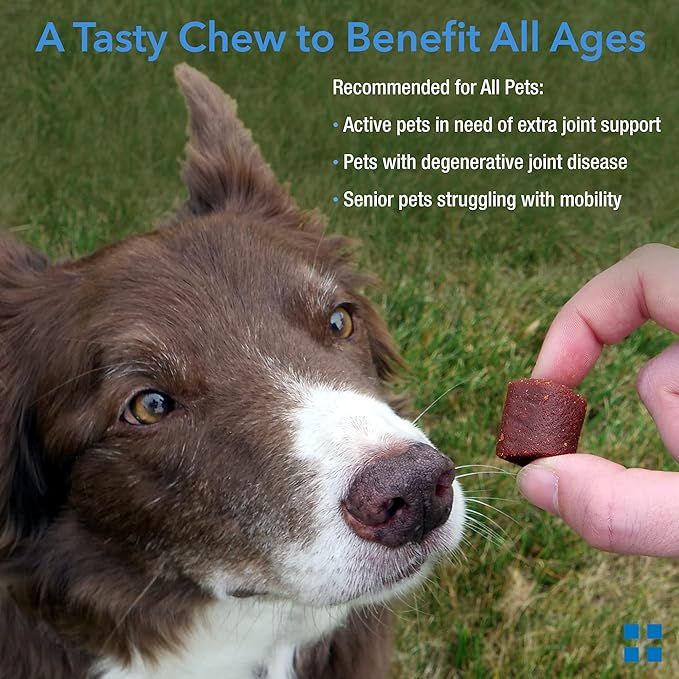 Krillex Joint Formula & Omega 3 Krill Oil for Dogs & Cats - Glucosamine for Dogs - Chondroitin, MSM, & Hyaluronic Acid for Joint Care - Cheese Flavor Chews - 60 ct