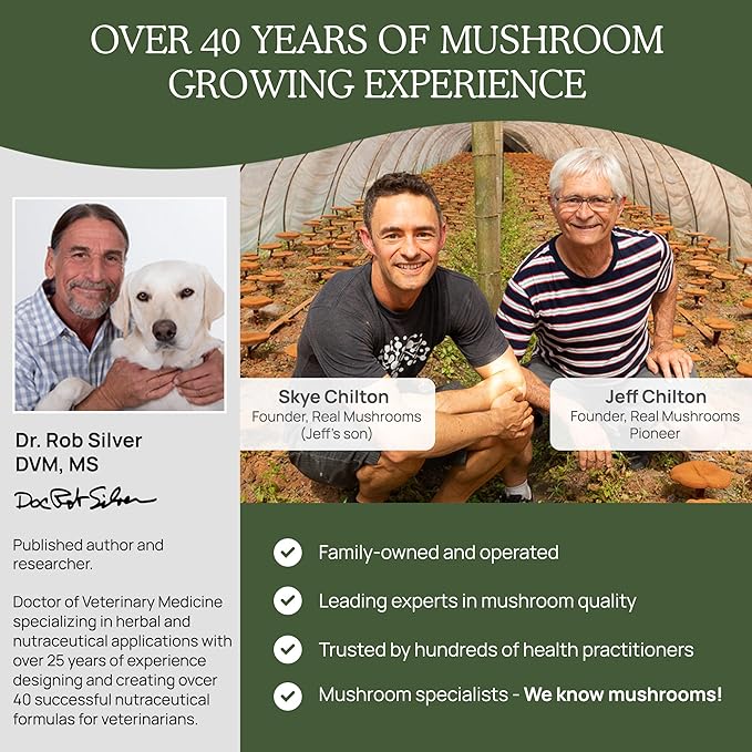 Turkey Tail Pet Support - Dog Multivitamins and Supplements for Immune Support, Gut Health & Wellness - Grain-Free, Gluten-Free, Vet-Approved Dog Supplement (90ct)