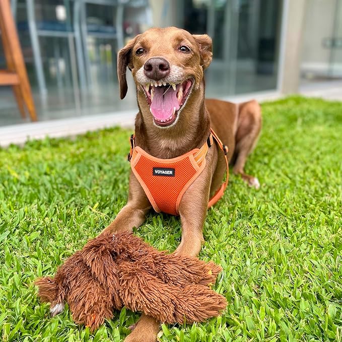 Best Pet Supplies Voyager Adjustable Dog Harness Leash Set with Reflective Stripes for Walking Heavy-Duty Full Body No Pull Vest with Leash D-Ring, Breathable All-Weather - Harness (Orange), M