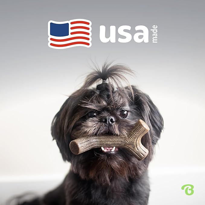 Benebone Small 4-Pack Dog Chew Toys for Aggressive Chewers, Made in USA, 30lbs and Under