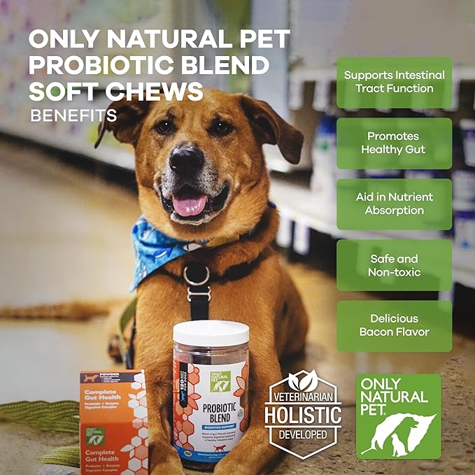 Only Natural Pet Probiotic Dog and Cat Supplement - Digestive & Gut Health Enzyme Formula, Puppy & Canine Digestive Chews, Best for Stomach Relief & Gas Aid - Soft Chews, 120 Count.