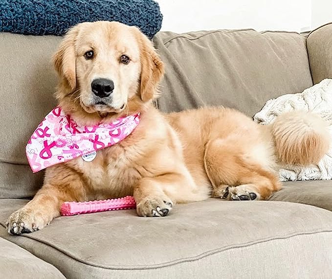 Nylabone Power Chew Breast Cancer Awareness Femur Bone Chew Toy for Dogs, Indestructible Dog Toys for Aggressive Chewers, Chicken Flavor, X-Large/Souper (1 Count)