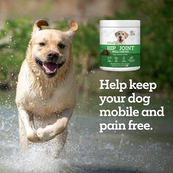 Well Chews | Soft Chew Supplements for Dogs | 60 Count | Made in USA (Hip + Joint)