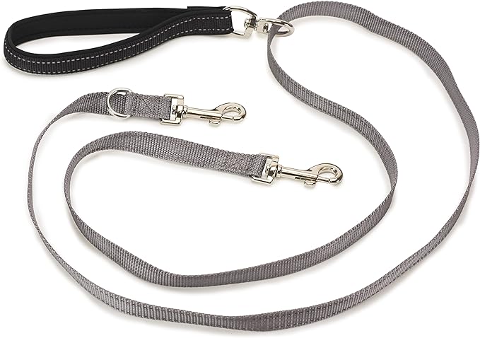 PetSafe Two Point Control Leash, Padded and Reflective Nylon Leash Converts to Single Leash, Works with 3in1 Harnesses, 3/4 in. Wide Leash