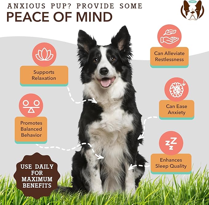 Natural Dog Company Calming Oil, 16 oz Bottle, Helps Manage Normal Stress, Promotes Relaxation, Supports Balanced Behavior, Melatonin for Dogs, May reduce Hyperactivity, for Dogs of all Ages & Sizes