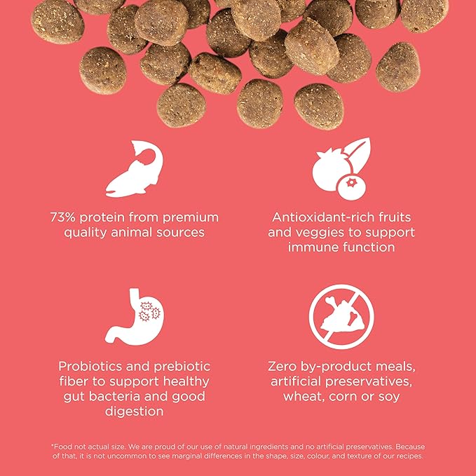 GO! SOLUTIONS Carnivore Protein Rich Dry Dog Food - Grain Free Salmon and Cod Recipe - Complete & Balanced Nutrition for All Life Stages, 3.5 lbs