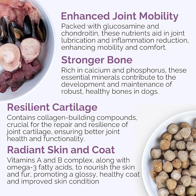 Hip, Bone & Joint - Premium Dog Bone & Joint Supplement - Enhanced Canine Mobility and Recovery - Grass-Fed Beef Bone, Green Mussel, Chicken Cartilage - Heart of The Canine - 6oz