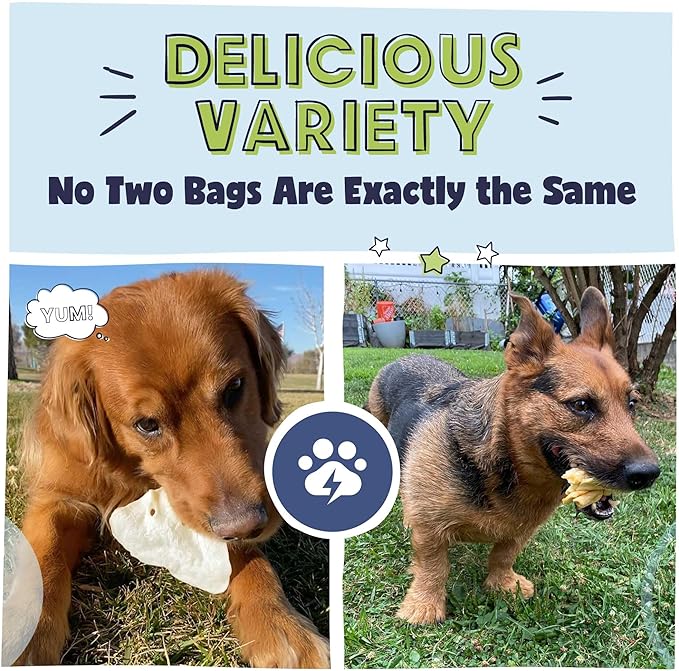 Pawstruck Bizarre Bargain Bag Assorted Natural Dog Chew Treats - Animal Ears, Jerky, Bones, Hooves, Beef Straps - Long Lasting Rawhide Alternative for Chewers All Breeds - 1 lb - Packaging May Vary