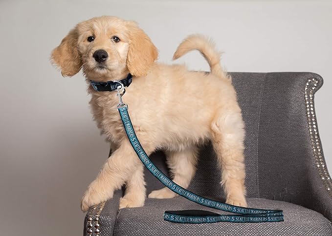 MLB PET Leash, Small, Seattle Mariners Dog Leash, Baseball Team Leash for Dogs & Cats. A Shiny & Colorful Dog & Cat Leash with Emboridered Team Name/Logo Licensed by the MLB