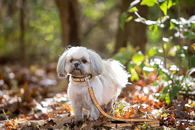 Pets First Collegiate Pet Accessories, Dog Leash, Tennessee Volunteers, Small