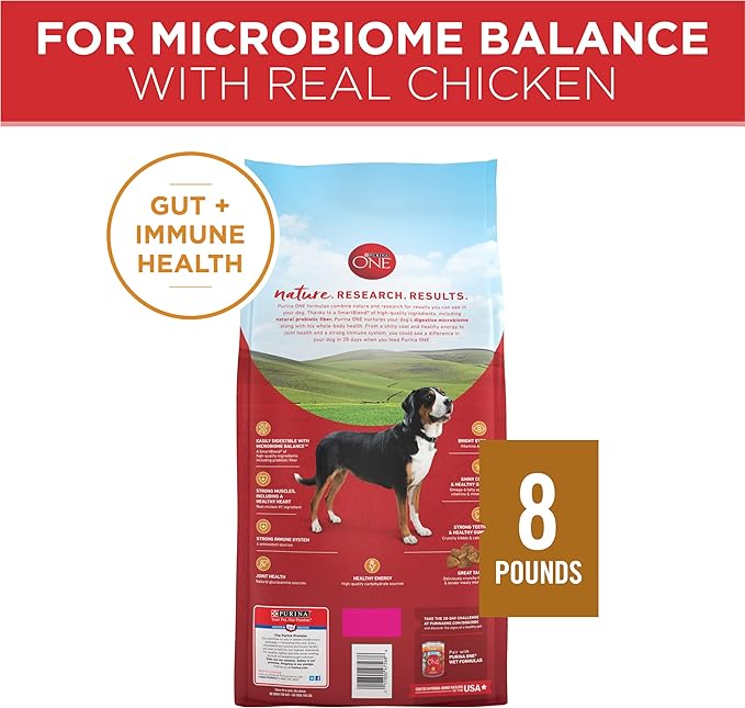 Purina ONE Chicken and Rice Formula Dry Dog Food - 40 lb. Bag
