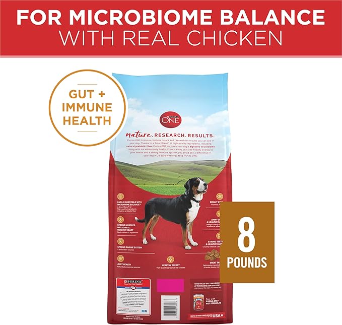 Purina ONE Chicken and Rice Formula Dry Dog Food - 8 lb. Bag