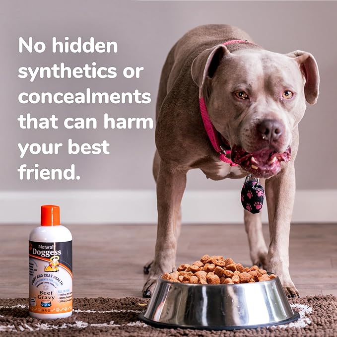 Dressing Best Hip and Joint Supplement for Dogs, Glucosamine & Chondroitin/Joint Health/Salmon Oil for Dogs Skin and Coat Health, Delicious Beef Gravy Flavor, 32 Oz