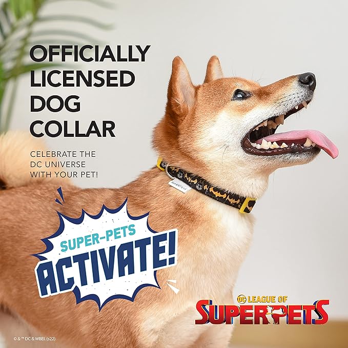 DC Comics League of Super-Pets Ace Batman Dog Collar, Large | Officially Licensed DC LEAGUE of SUPER-PETS Dog Collar | Large Dog Collar DC LEAGUE of SUPER-PETS Ace Bat Hound Batman Style with D-ring